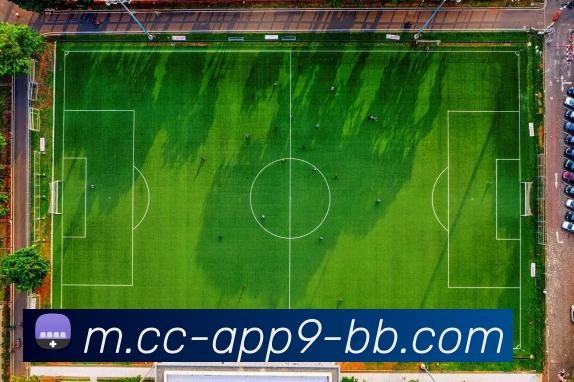 App 展示图